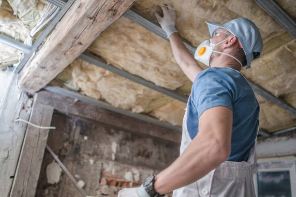 Best Insulation Installation Services in Mount Vernon, VA